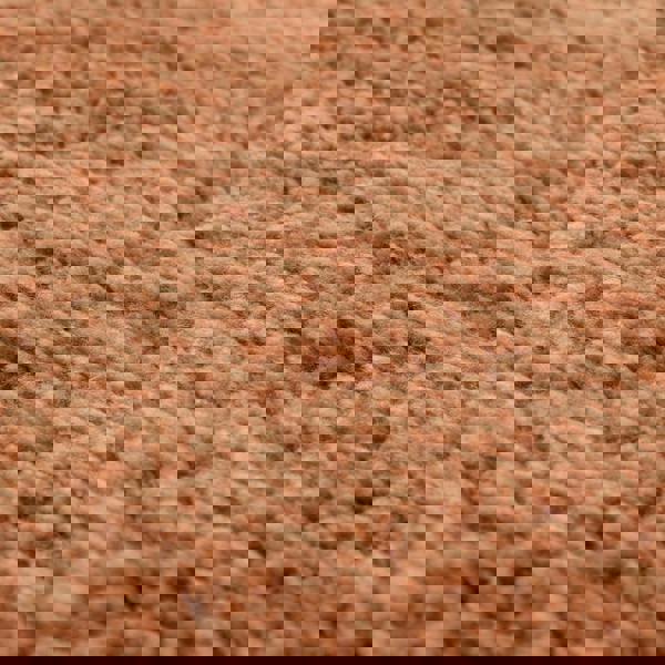 Asiatic Opulence Shaggy Terra Rug