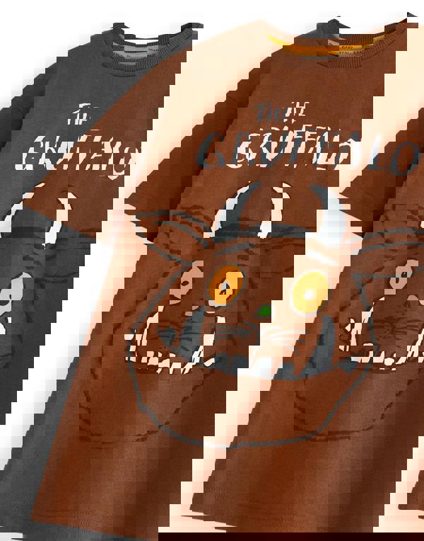 Gruffalo & Friends Unisex Kids Brown Big Face Short Sleeved T-Shirt