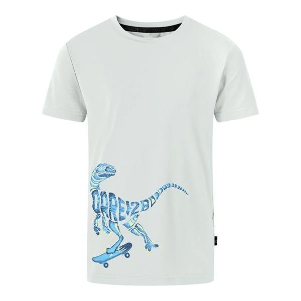 Dare 2B Boys Amuse II Velociraptor T-Shirt - Aqua Grey