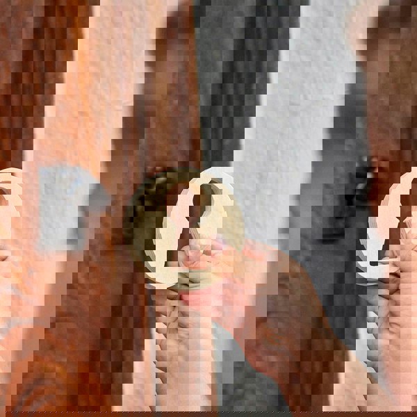 tickit Inside Outside Wooden Shapes