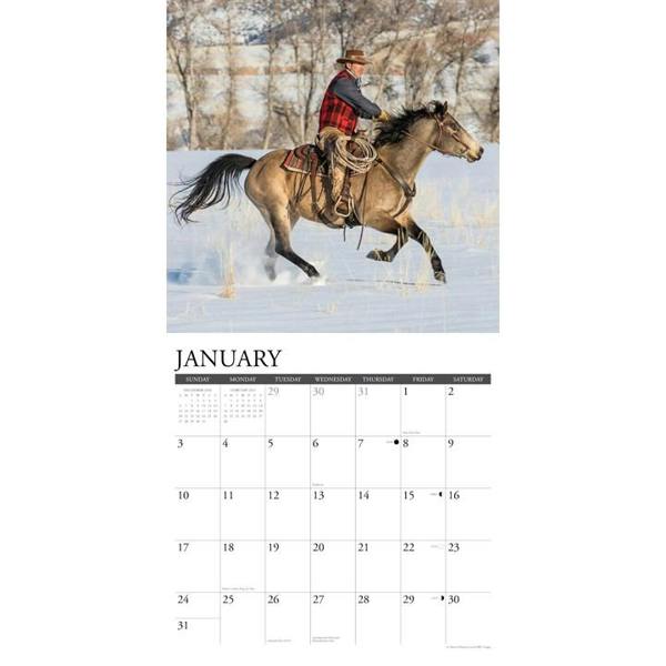 Cowboys Calendar 2027, Wall Calendars, Month To View, Travel, Gift