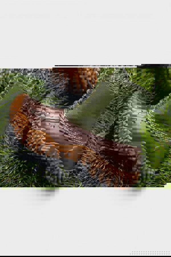 Crocs Salehe Bembury x Crocs Pollex Cypress Mallard