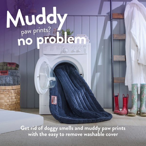 Slumberdown Paws for Slumber Orthopedic Pet Bed