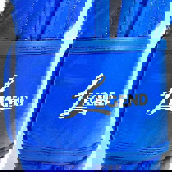 Tuf Wear Legend Leather HOOK AND LOOP Sparring Gloves