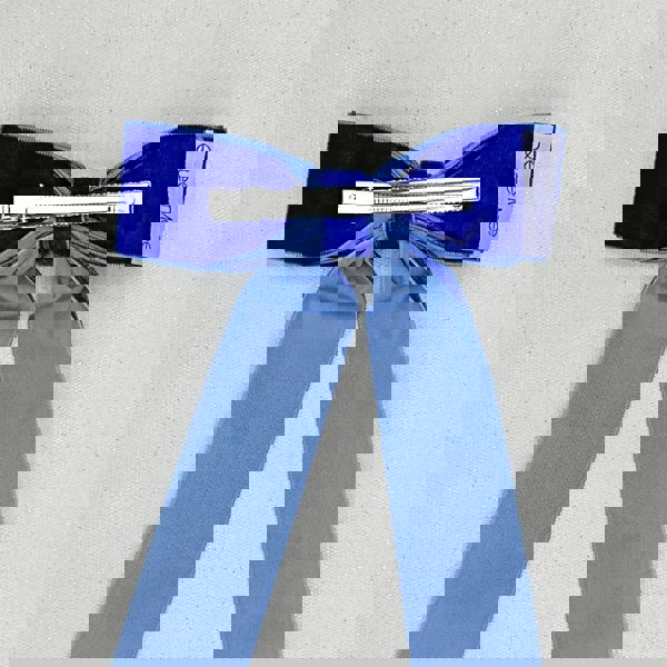 Blue Velvet Hair Bow Royal Blue Hair Clip Alligator Clip