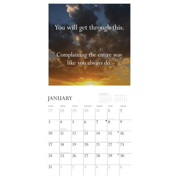Chronicle Books Disappointing Affirmations Calendar 2027, Wall Calendars, Month To View, Humour, Gift