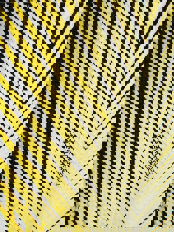 Roberto Cavalli Boys Joggers