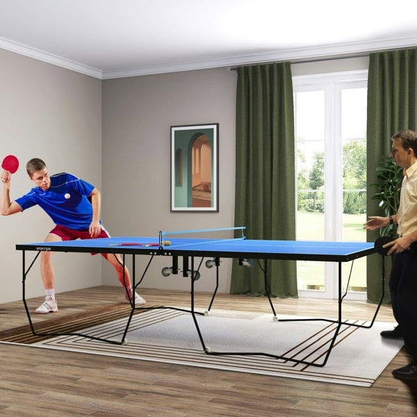 Ping Pong Table
