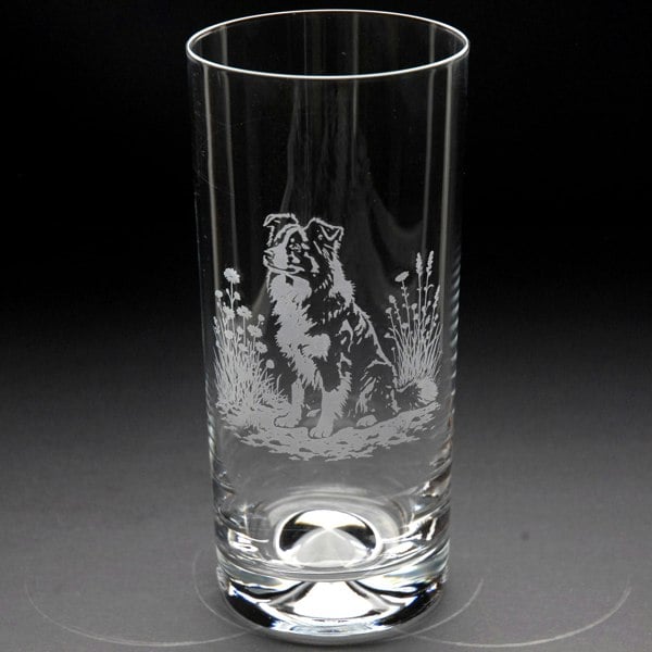 Glyptic Glass Art Border Collie Dog Highball Glass - Hand Etched/Engraved Gift