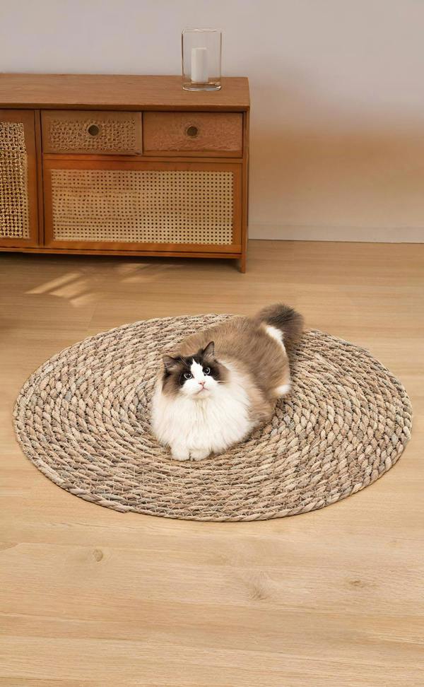 60cm Round Floor Cat Scratching Mat