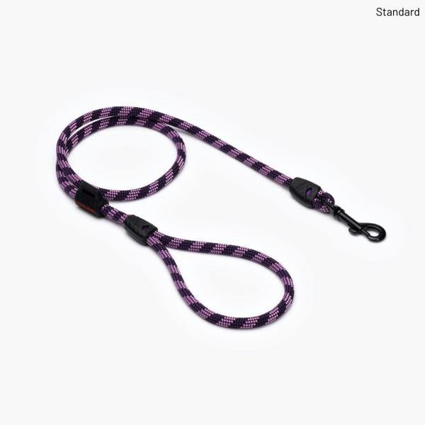 EzyDog Summit Dog Lead in Purple