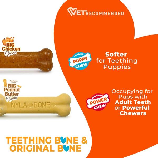 Nylabone Puppy Starter Kit Chicken & Peanut Butter Flavour for Puppies