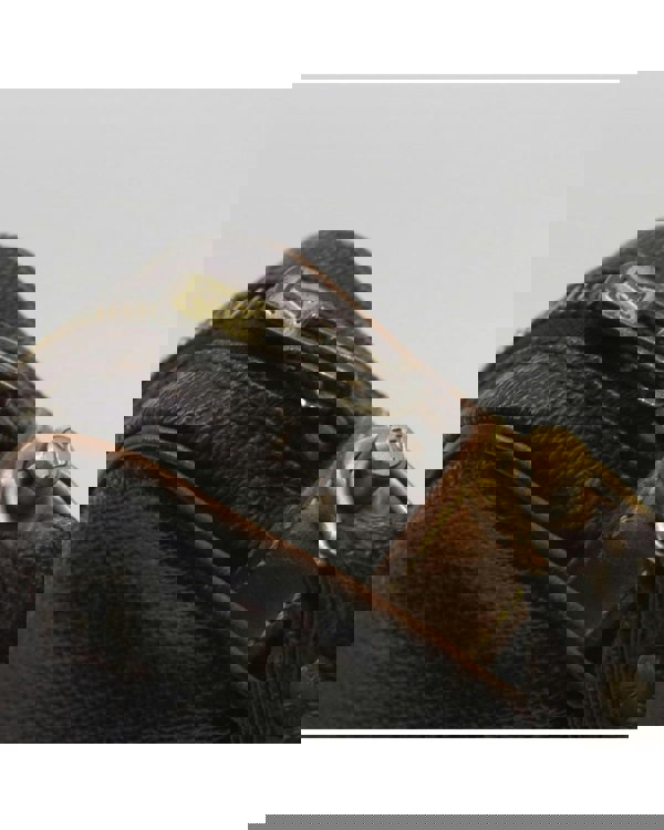 168276072.jpg