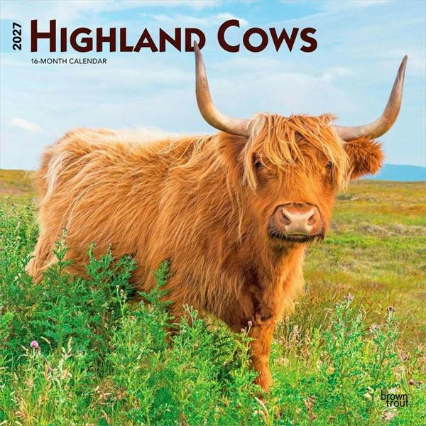 Highland Cows Calendar 2027, Wall Calendars, Month To View, Animals, Gift
