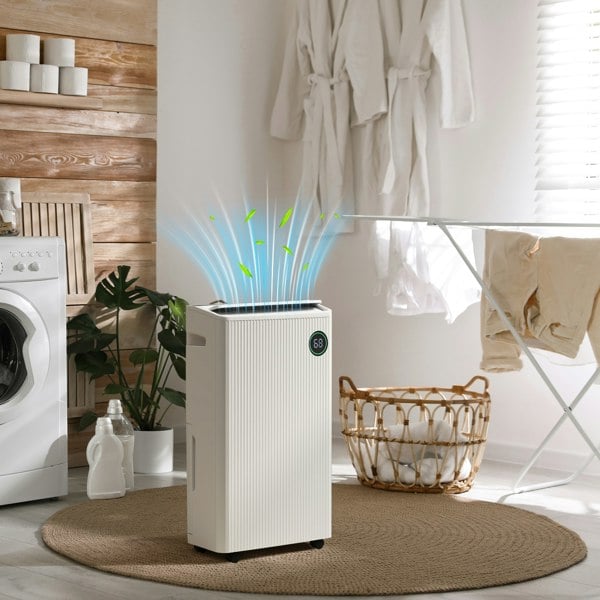 Dehumidifier