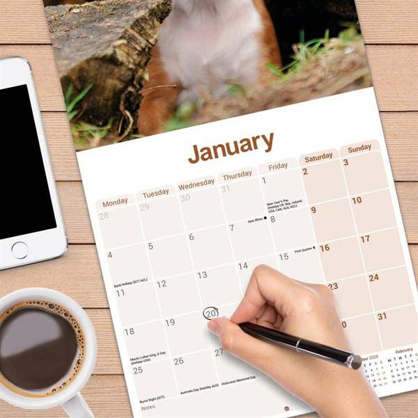 Boxer Calendar 2027, Wall Calendars, Month To View, Dogs, Gift