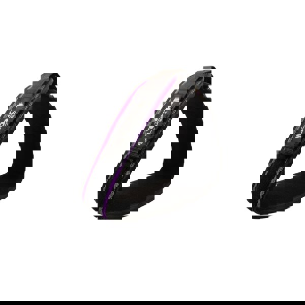 Purple powerlifting belt