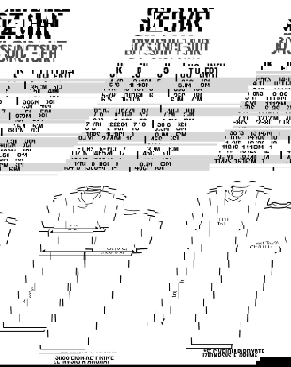 Sonic the Hedgehog Boys Black Sonic Stats Graphic Short Sleeved T-Shirt