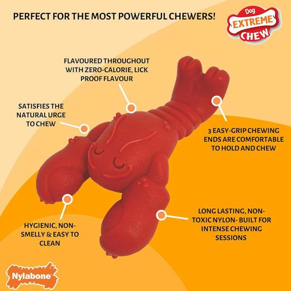 Nylabone Extreme Chewers Lobster Dog Chew Toy Filet Mignon Flavour (Small)