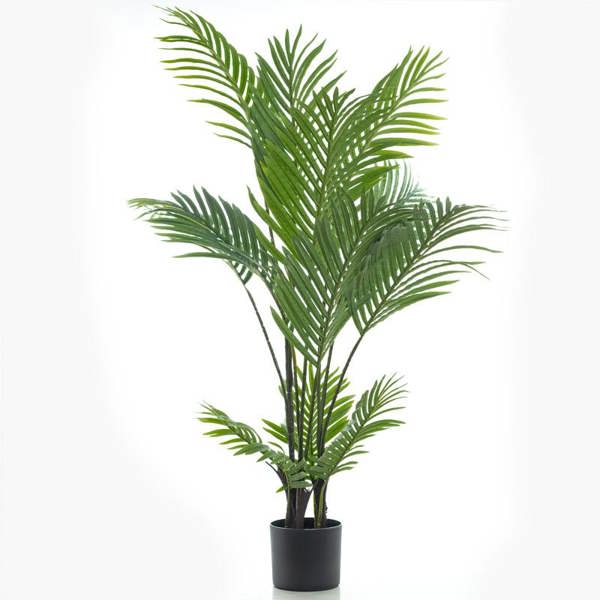 Scottish Everlastings 155cm Real Touch Pearl Palm Tree