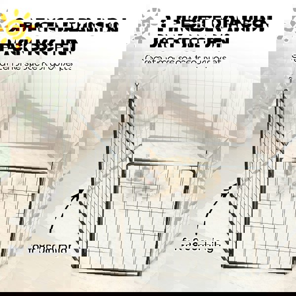 D06-257V01BK