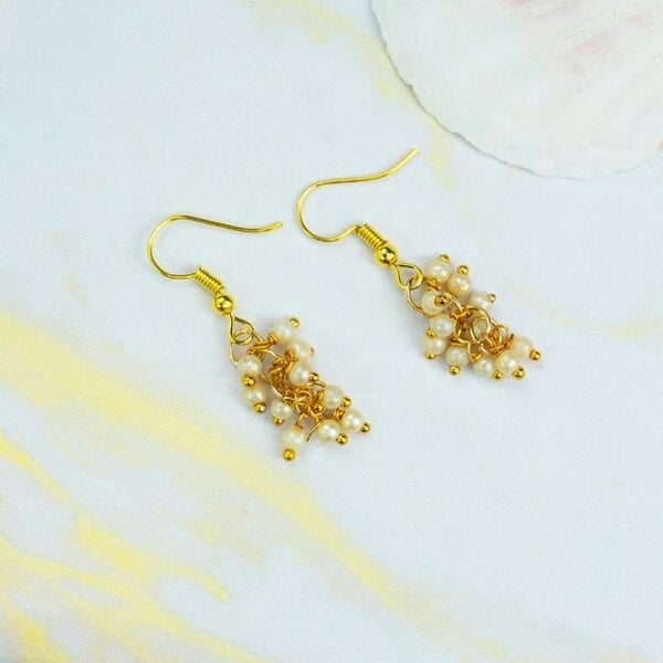 The Colourful Aura Gold and Silver Small Pearl Poth Dainty Pearl Delicate Dainty Drop Hook Earrings
