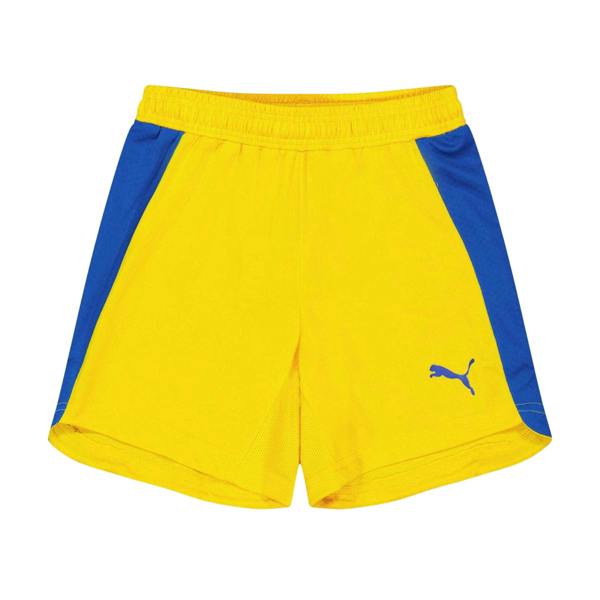Puma Childrens/Kids Evo Shorts - Yellow - 