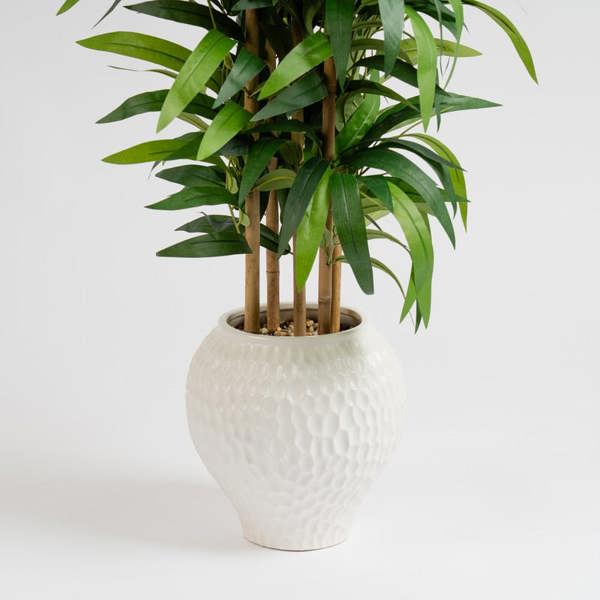 Scottish Everlastings 130cm Slimline Bamboo tree in Dimpled Ceramic Pot