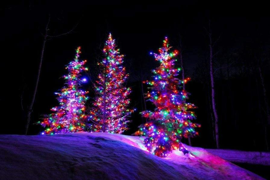 Multicolour LED Outdoor String Fairy Lights with Timer and 8 Modes, Green Cable Sizes 100 to 2000 image 3