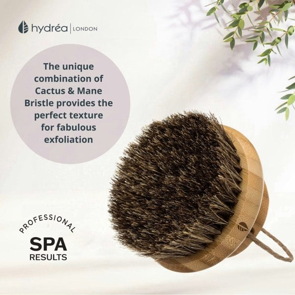 Hydréa London Round Bamboo Body Brush