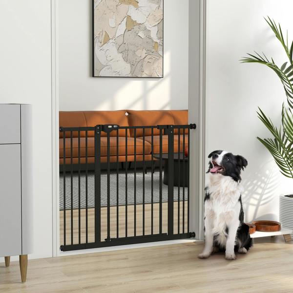 Pet Gate