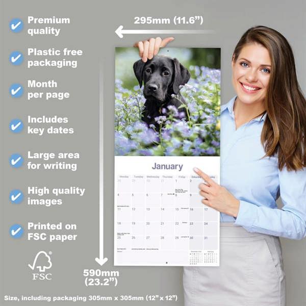 Black Labrador Retriever Calendar 2027, Wall Calendars, Month To View, Dogs, Gift