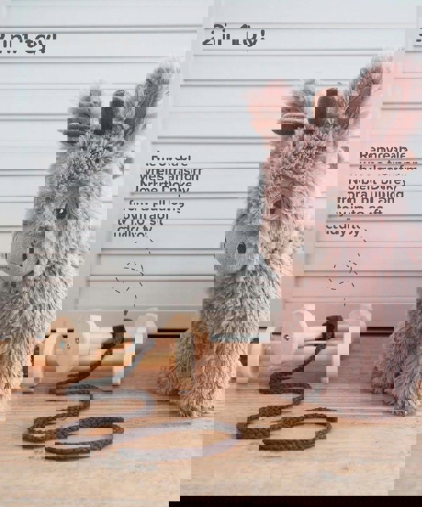 Infographic image of Norbert Donkey Pull Along Toy showing removeable wheels