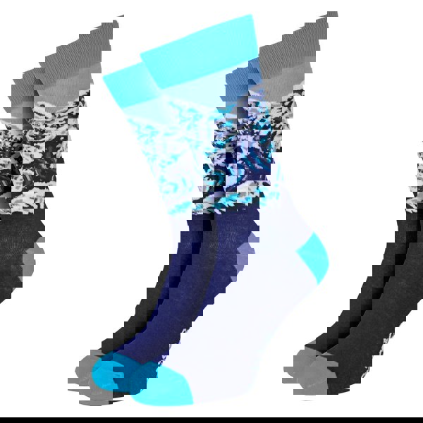 t4option1_1