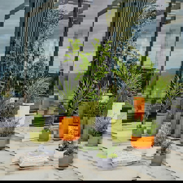 #color_white