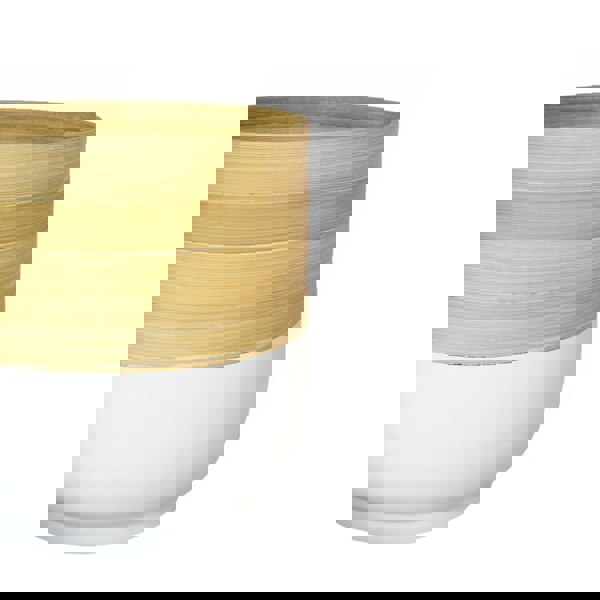 #color_white