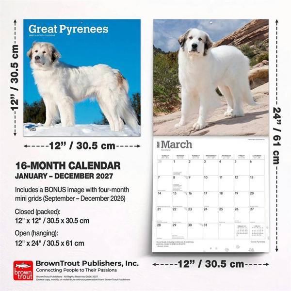 Great Pyrenees Calendar 2027, Wall Calendars, Month To View, Dogs, Gift