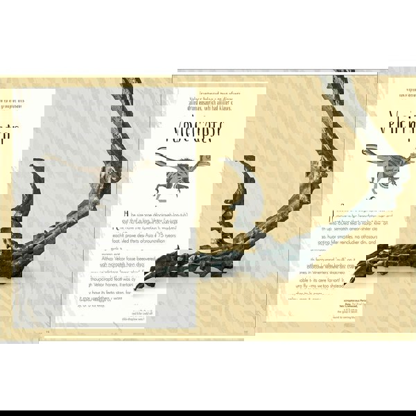 Dinosaurs and Other Prehistoric Life (DK Children's Anthologies)