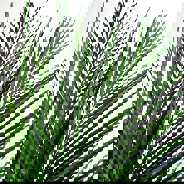 Leaf 130cm Areca Palm Artificial Tree