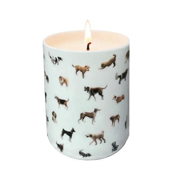 Dog Chain Powderhound Candle LARGE