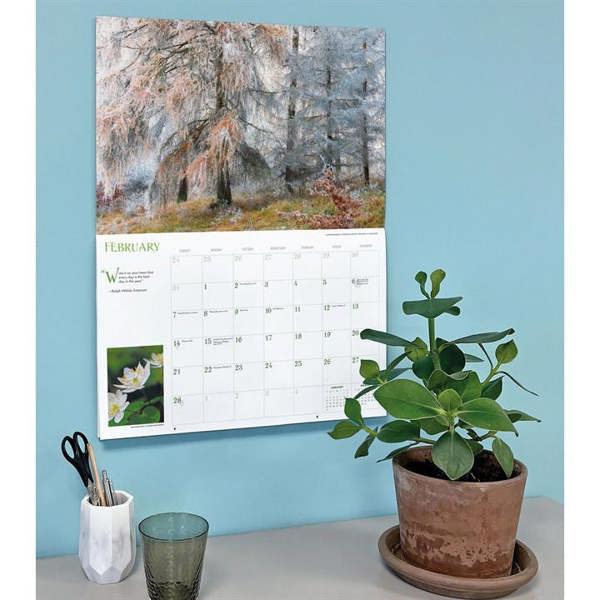 Into The Woods Deluxe Calendar 2027, Deluxe Calendars, Month To View, Natural World, Gift