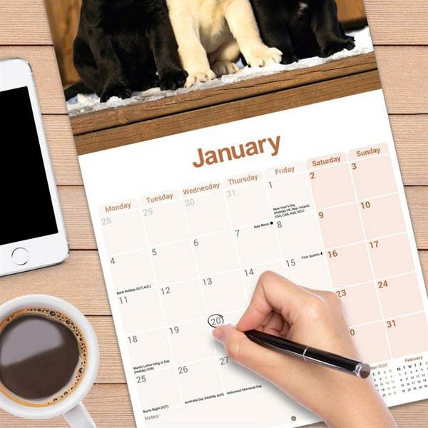 Labrador Retrievers Calendar 2027, Wall Calendars, Month To View, Dogs, Gift