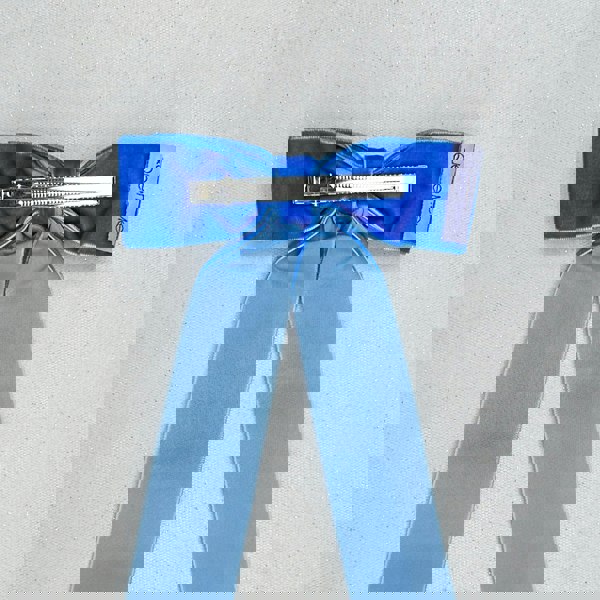 Blue Velvet Hair Bow Hair Clip Alligator Clip