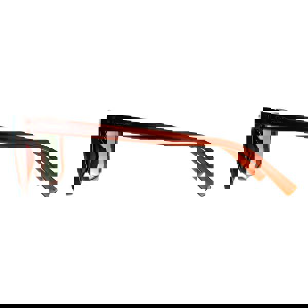 Calvin Klein Sunglasses CK22555S 210 Transparent Brown Green