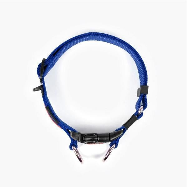 EzyDog Double Up Dog Collar in Blue