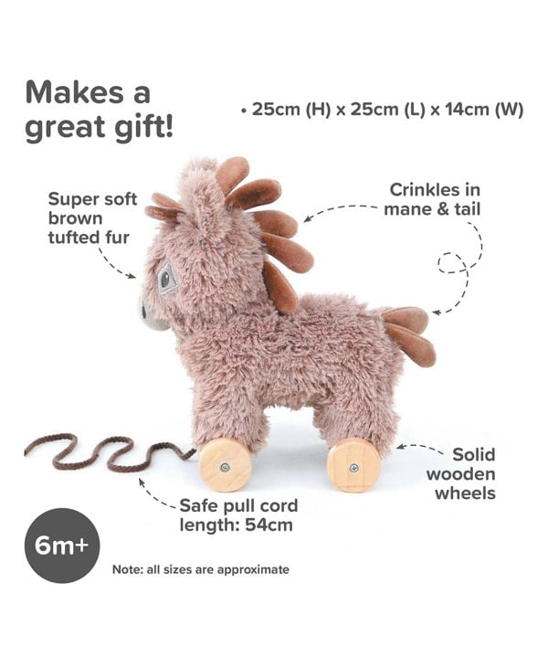 Infographic image of Norbert Donkey Pull Along Toy a perfect toddler gifts