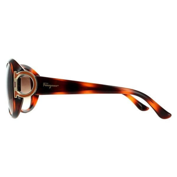 Salvatore Ferragamo Sunglasses SF668 238 Tortoise Brown Gradient