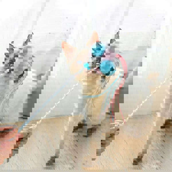 CL23 Cat Teaser-Weilai concept-Weilai Concept