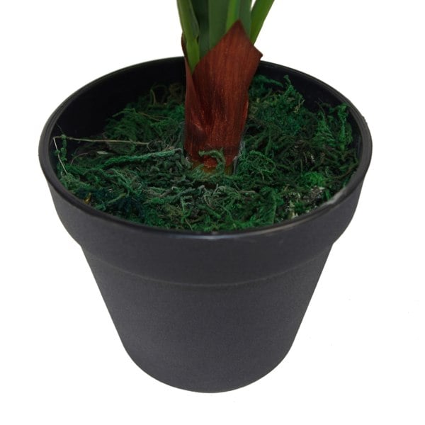 Leaf 50cm Bushy Artificial Bird's Nest Fern Plant