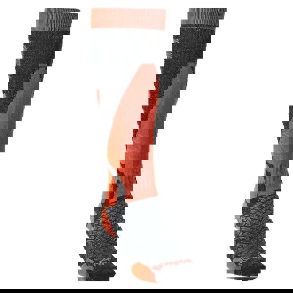 t4option1_1